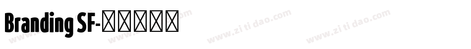 Branding SF字体转换